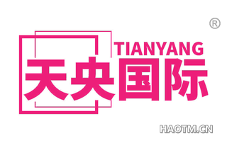 天央国际 TIANYANG