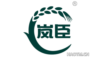 岚臣