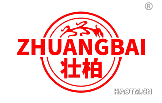 壮柏