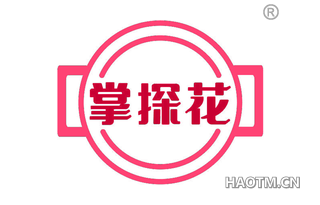 掌探花