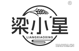 梁小星