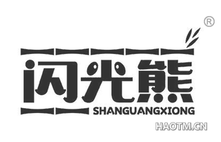 闪光熊 SHAN GUANG XIONG