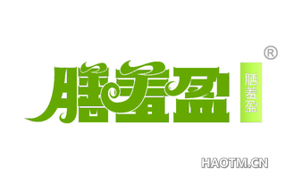 膳羞盈