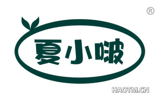 夏小啵