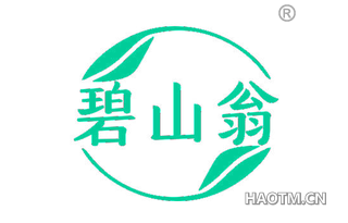 碧山翁