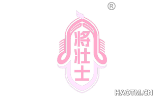 将壮士