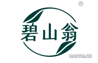 碧山翁