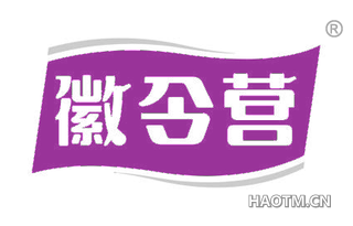 徽令营