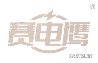 赛电鹰