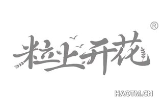 粒上开花