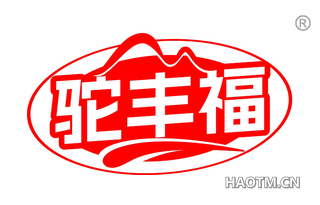 驼丰福