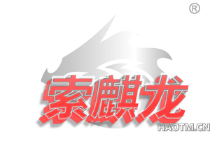 索麒龙