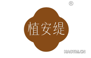 植安缇