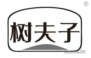 树夫子