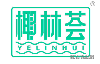 椰林荟