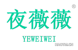 夜薇薇