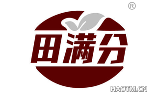 田满分