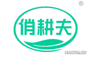 俏耕夫