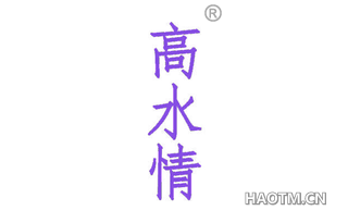 高水情