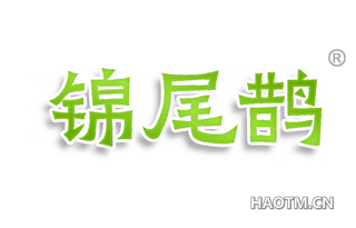 锦尾鹊