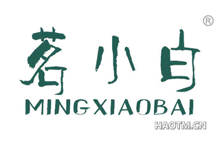 茗小白
