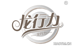 龙行力