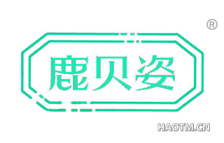 鹿贝姿
