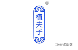 植夫子