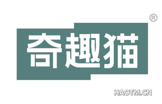 奇趣猫