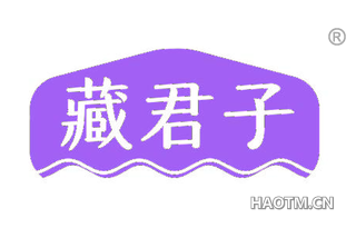 藏君子