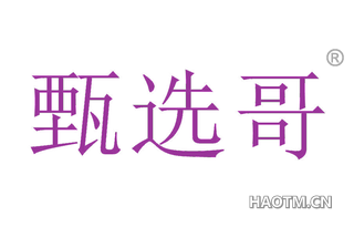 甄选哥 
