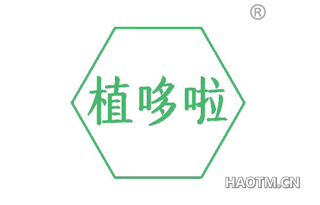 植哆啦
