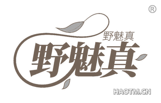 野魅真
