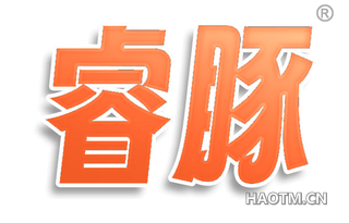 睿豚