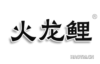 火龙鲤