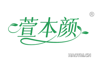 萱本颜