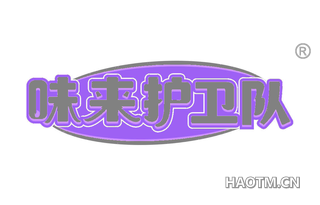 味来护卫队