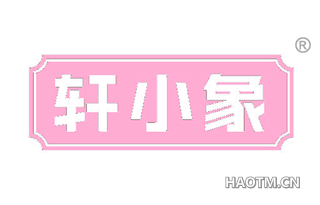轩小象
