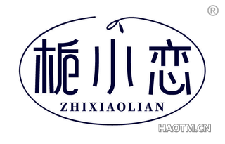 栀小恋