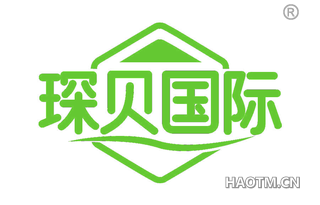 琛贝国际