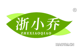 浙小乔