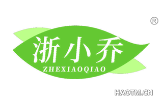 浙小乔