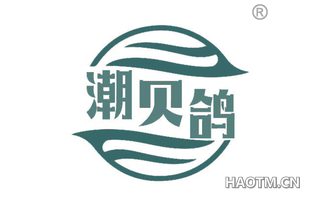 潮贝鸽