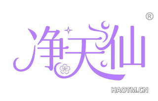 净天仙
