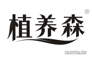 植养森
