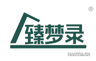 臻梦录