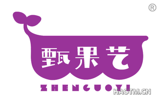 甄果艺