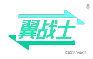 翼战士