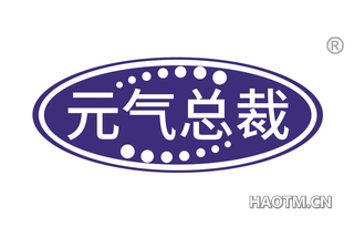 元气总裁