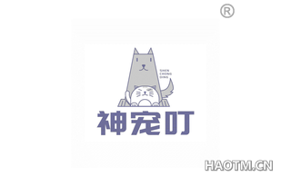 神宠叮